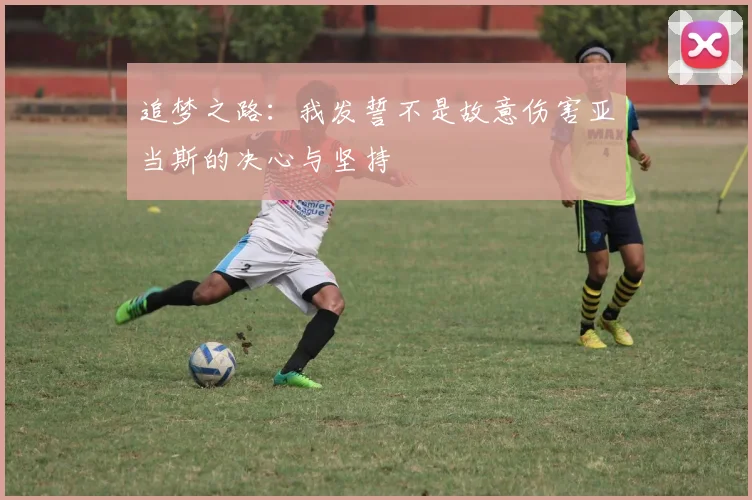 追梦之路：我发誓不是故意伤害亚当斯的决心与坚持