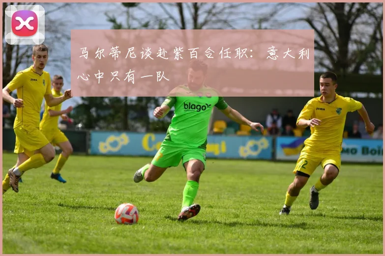 马尔蒂尼谈赴紫百合任职：意大利心中只有一队