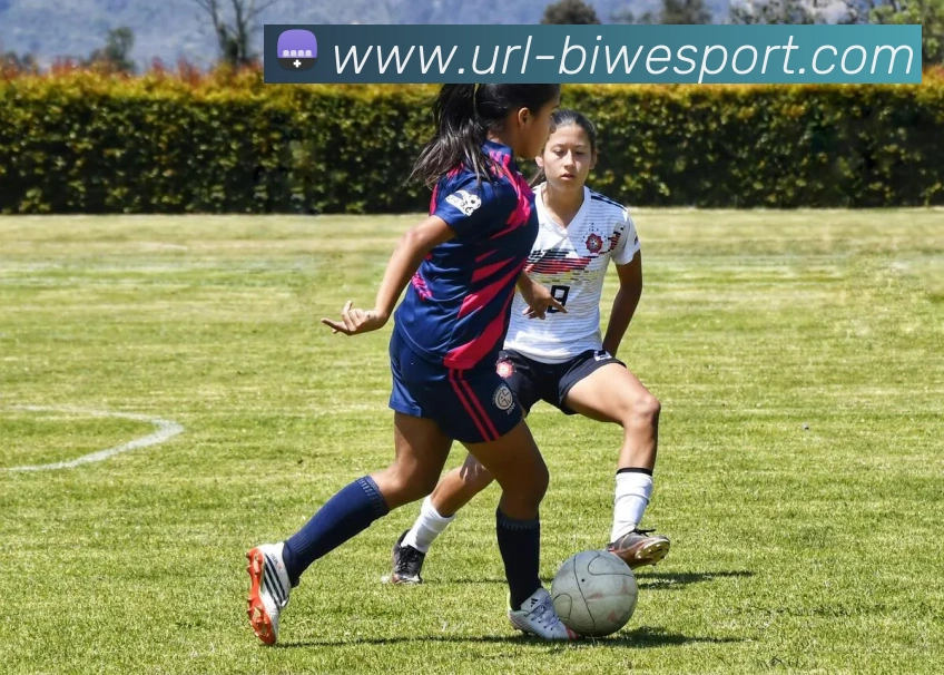 必威足球发展历程